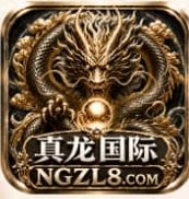 真龙国际
